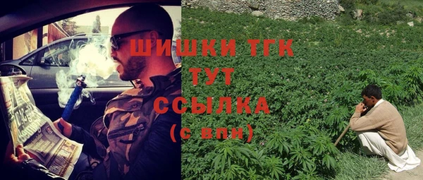 спайс Алексин