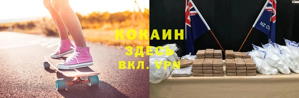 стаф Алзамай