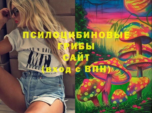 спайс Алексин