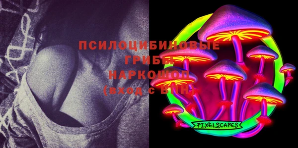 спайс Алексин