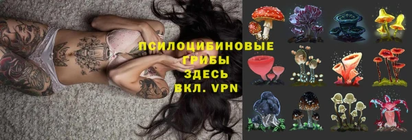 спиды Алексеевка