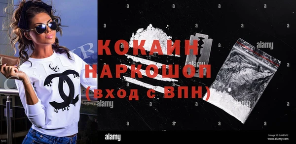 стаф Алзамай