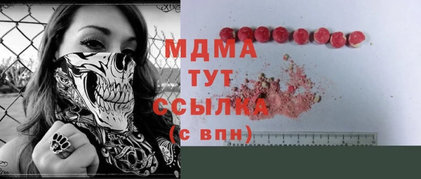 стаф Алзамай